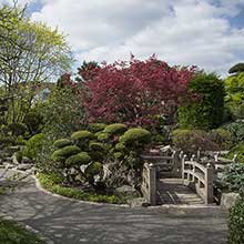 Japanischer Garten Freiburg - Fabrizio Foto