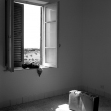 La Luce della Follia